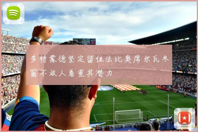 多特蒙德坚定留住法比奥席尔瓦冬窗不放人看重其潜力