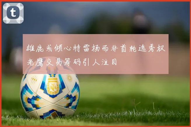 雄鹿或倾心特雷杨而非首轮选秀权老鹰交易筹码引人注目