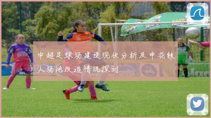 中超足球场建设现状分析及申花铁人场地改造情况探讨