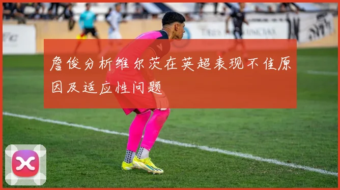 詹俊分析维尔茨在英超表现不佳原因及适应性问题