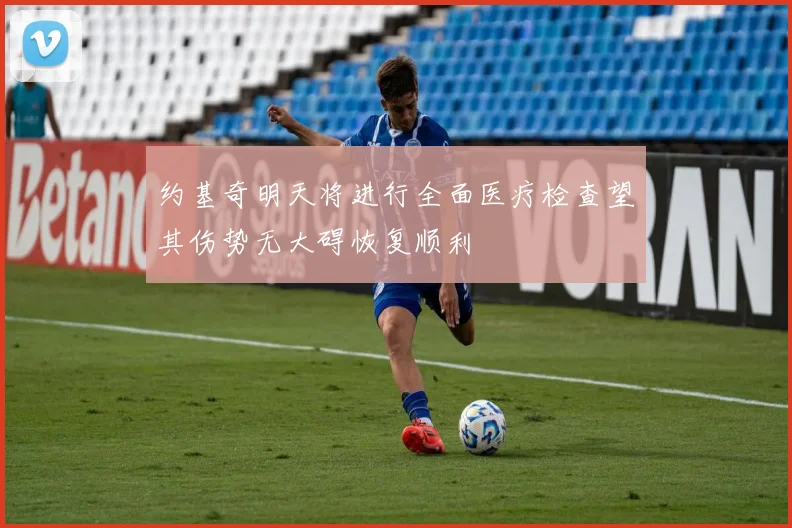约基奇明天将进行全面医疗检查望其伤势无大碍恢复顺利