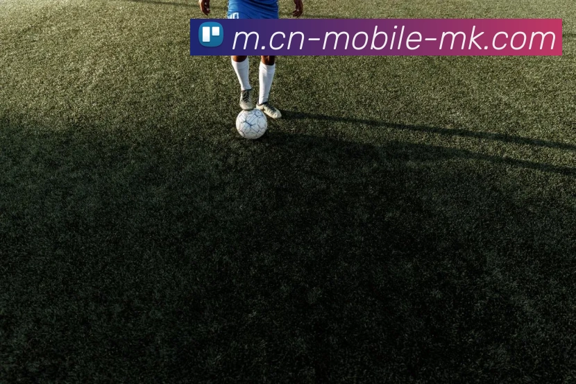 MK体育服务体系